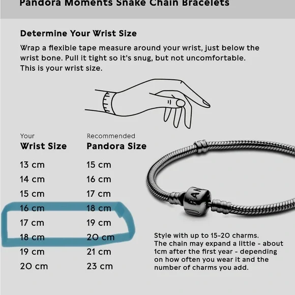 Pandora Silver Bracelet - Picture 2 of 3